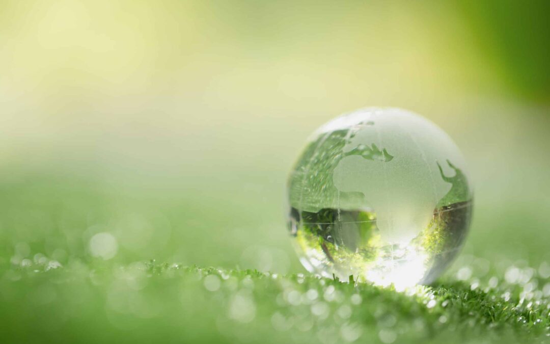 ESG Self-Evaluation For CMB253 NOSA Integrated Five Star Clients